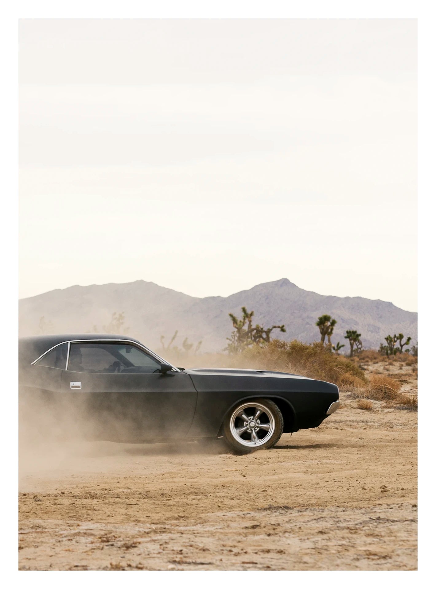 In a portrait orientation. A matte black first generation Dodge Challenger powers through a desert dirt surface, kicking up a low trail of dust from the rear wheels. Joshua trees and purple hue mountain ranges stretch across the horizon under a pale white sky, with the car's polished five spoke wheels and fastback roofline sharp against the hazy desert landscape. Fine art colour photographic print by Simon Davidson.