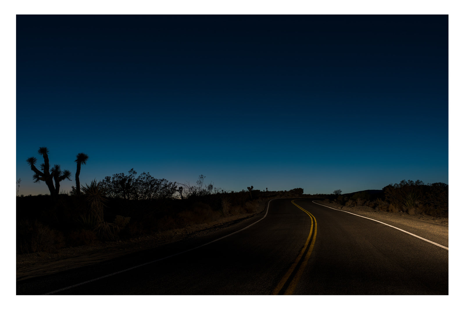 Like a cinematic still from a David Lynch film, a desert highway curves into the darkness at last light, blue light. Captured in Joshua Tree National Park. Yellow centre lines glow in the headlights from a car out of frame, Joshua trees silhouetted against a deep cobalt blue sky. Fine art colour photographic print by Simon Davidson.