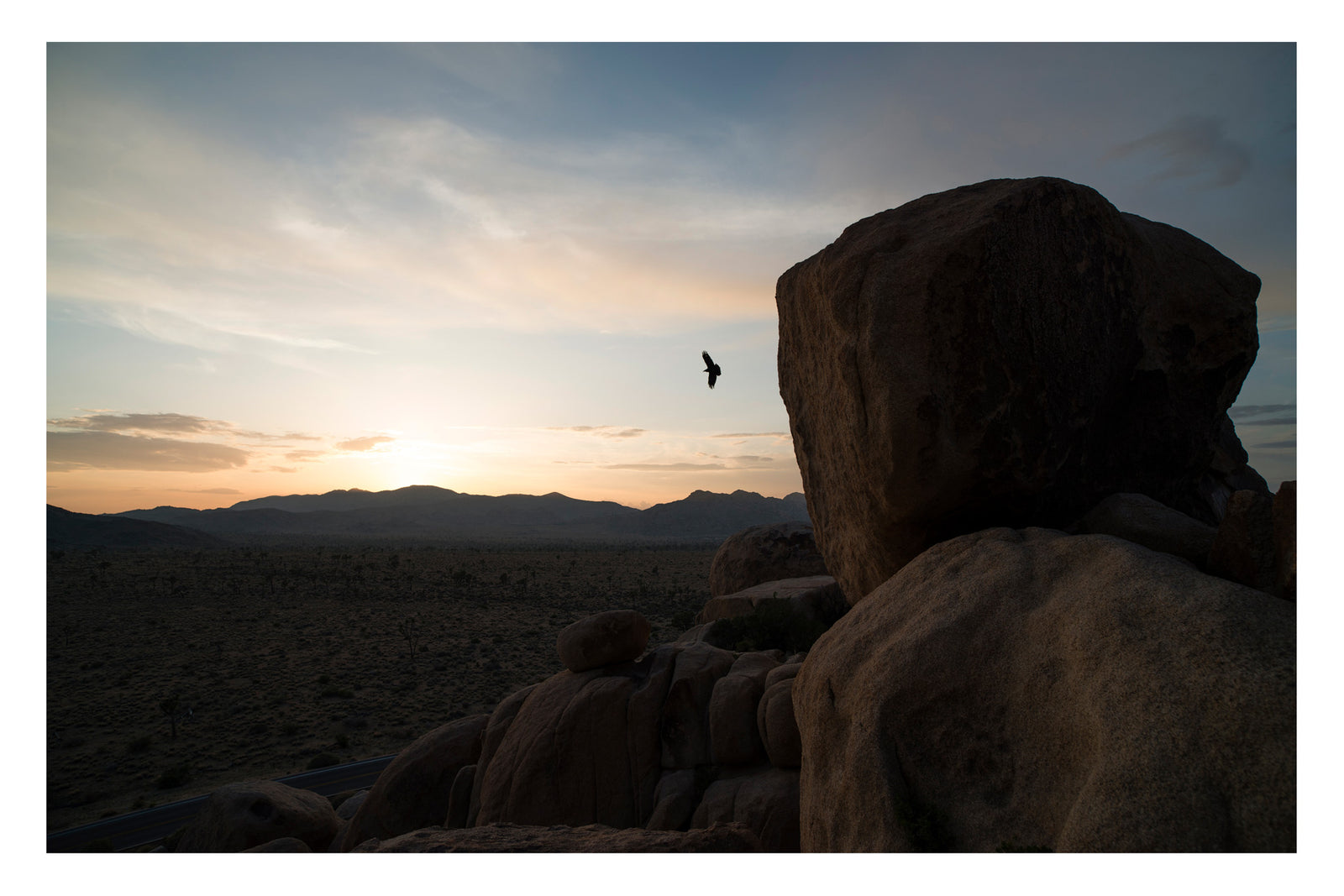 A large bird of prey takes flight between a towering granite boulder and the setting sun at Cap Rock in Joshua Tree National Park, the vast Joshua tree studded desert floor stretching to the silhouetted mountains below, a road just visible in the valley below. 
Cap Rock is also associated with Gram Parsons, the country rock pioneer, who died of a drug overdose nearby at the Joshua Tree Inn in 1973. 
Fine art colour photographic print by Simon Davidson.