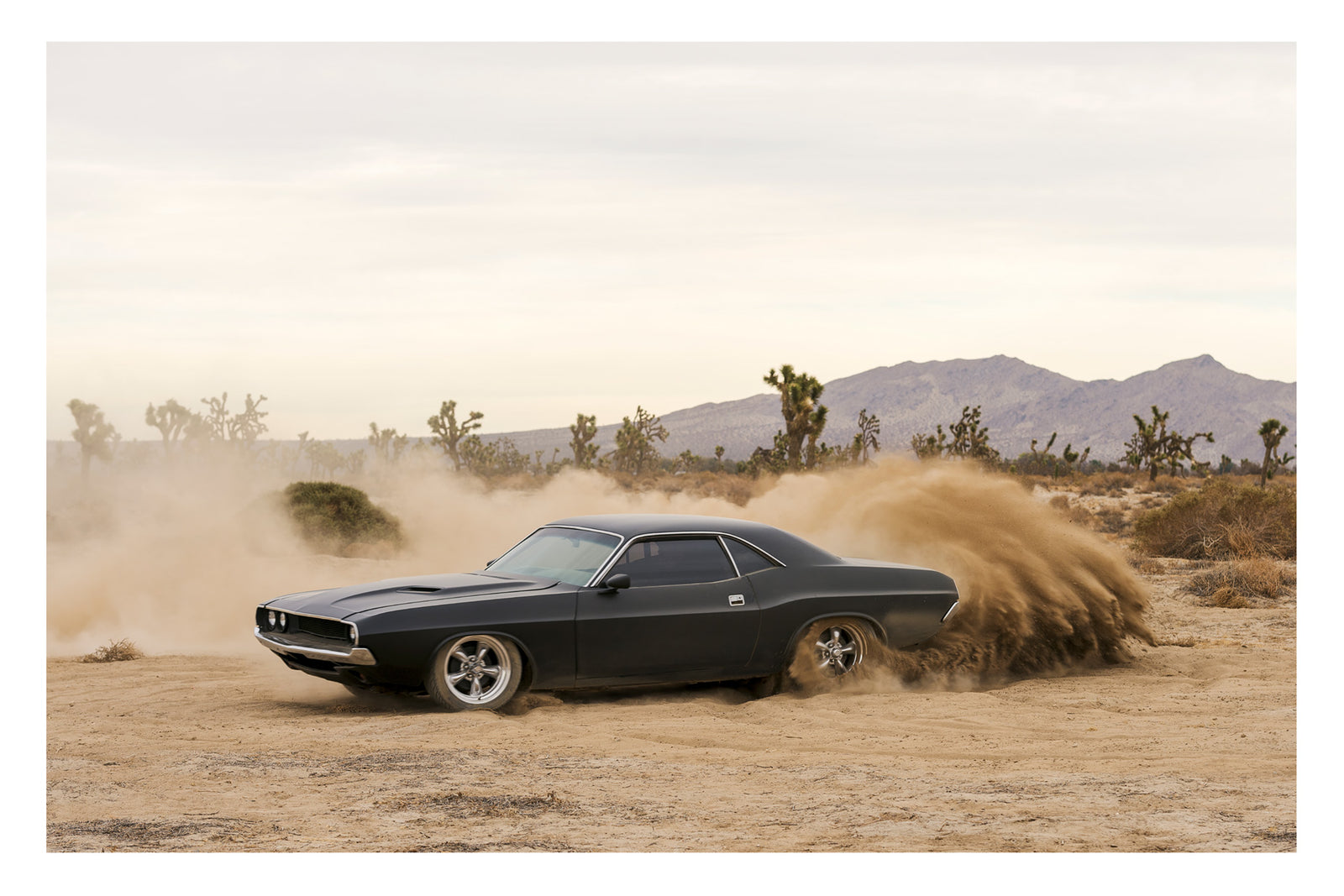 A matte black first generation 1970 Dodge Challenger performs a hard 180 on a dirt desert floor, throwing a large plume of dust and sand from the rear wheels. Joshua trees and purple hued mountains stretch across the background under a pale overcast sky. Fine art colour photographic print by Simon Davidson.