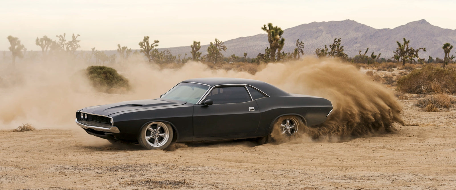 A matte black first generation 1970 Dodge Challenger performs a hard 180 on a dirt desert floor, throwing a large plume of dust and sand from the rear wheels. Joshua trees and purple hued mountains stretch across the background under a pale overcast sky. Fine art colour photographic print by Simon Davidson.