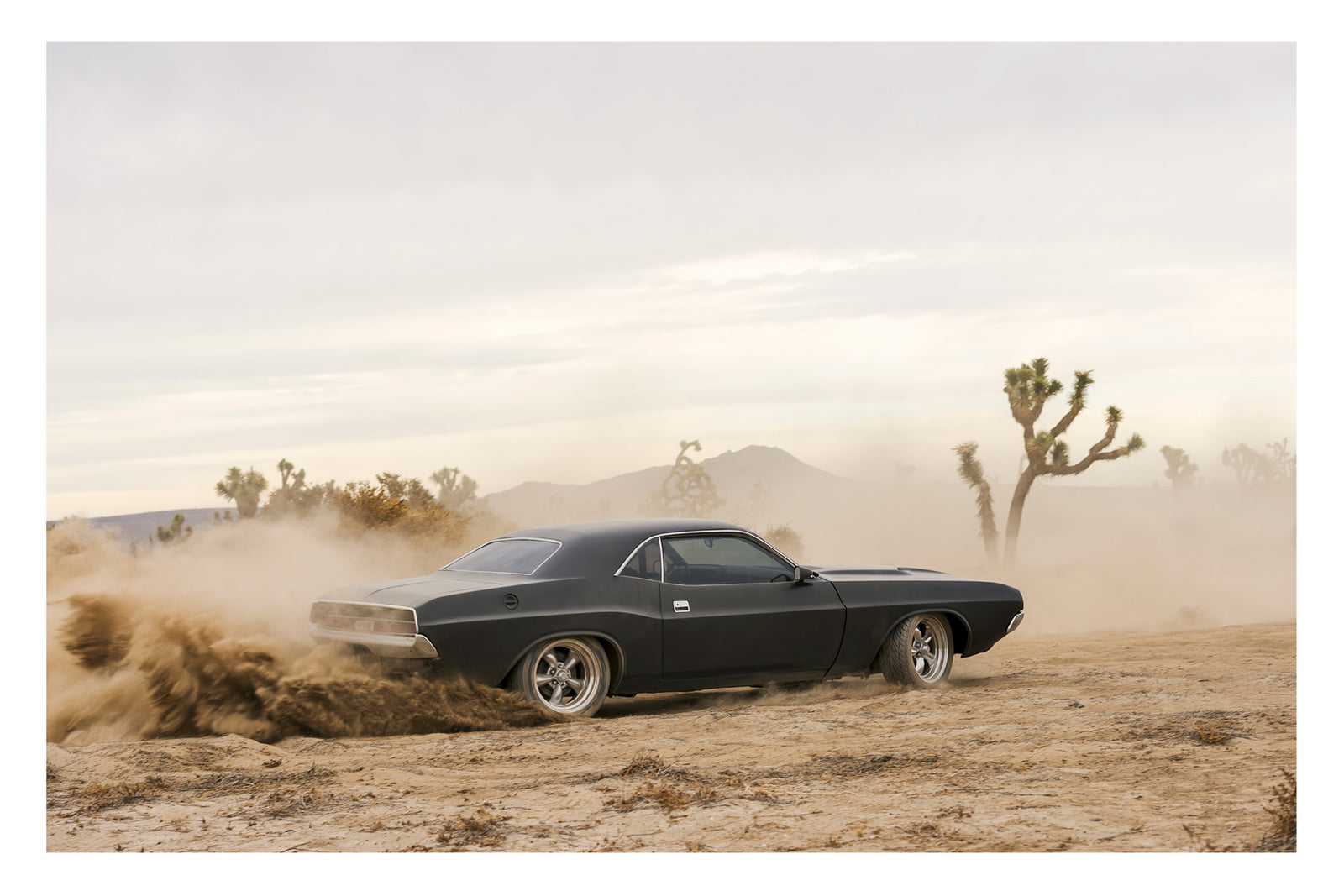 A matte black 1970 Dodge Challenger kicking up a wave of desert dirt among Joshua trees and mountains in the Mojave Desert, the dust trailing behind it like a comet's tail under a pale hazy sky. Fine art colour photographic print by Simon Davidson.