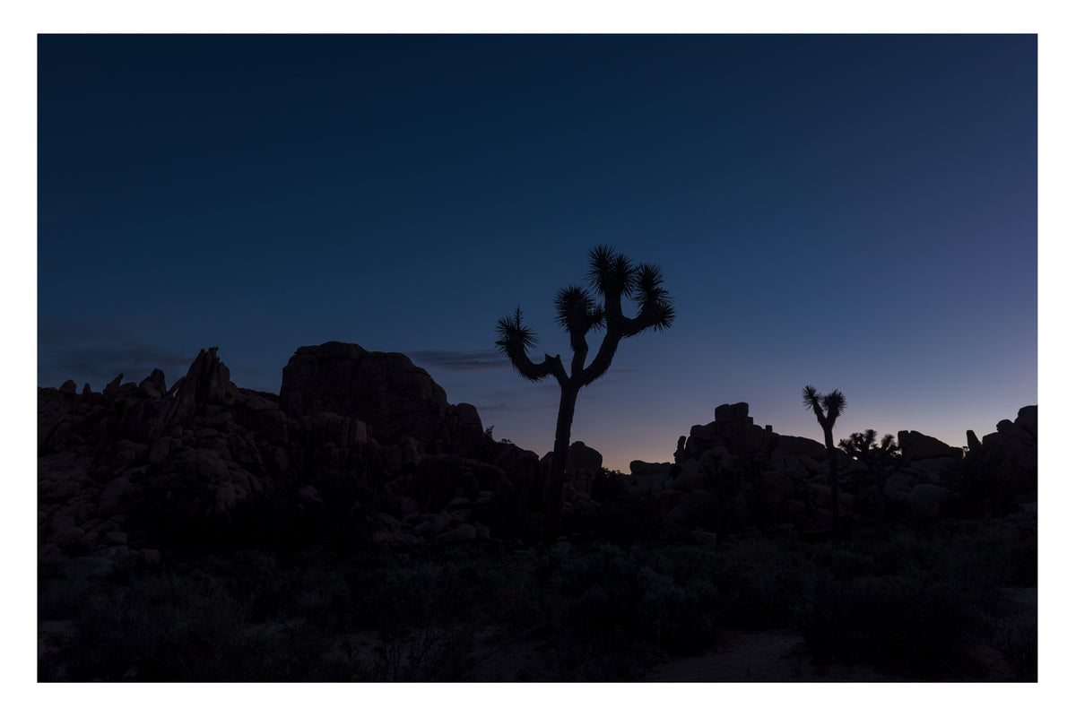 Two Joshua trees and granite boulders silhouetted against the last orange glow on the horizon at dusk in Joshua Tree National Park, the sky deepening to deep blue above. Last light details in the boulders just visible. Fine art colour photographic print by Simon Davidson.