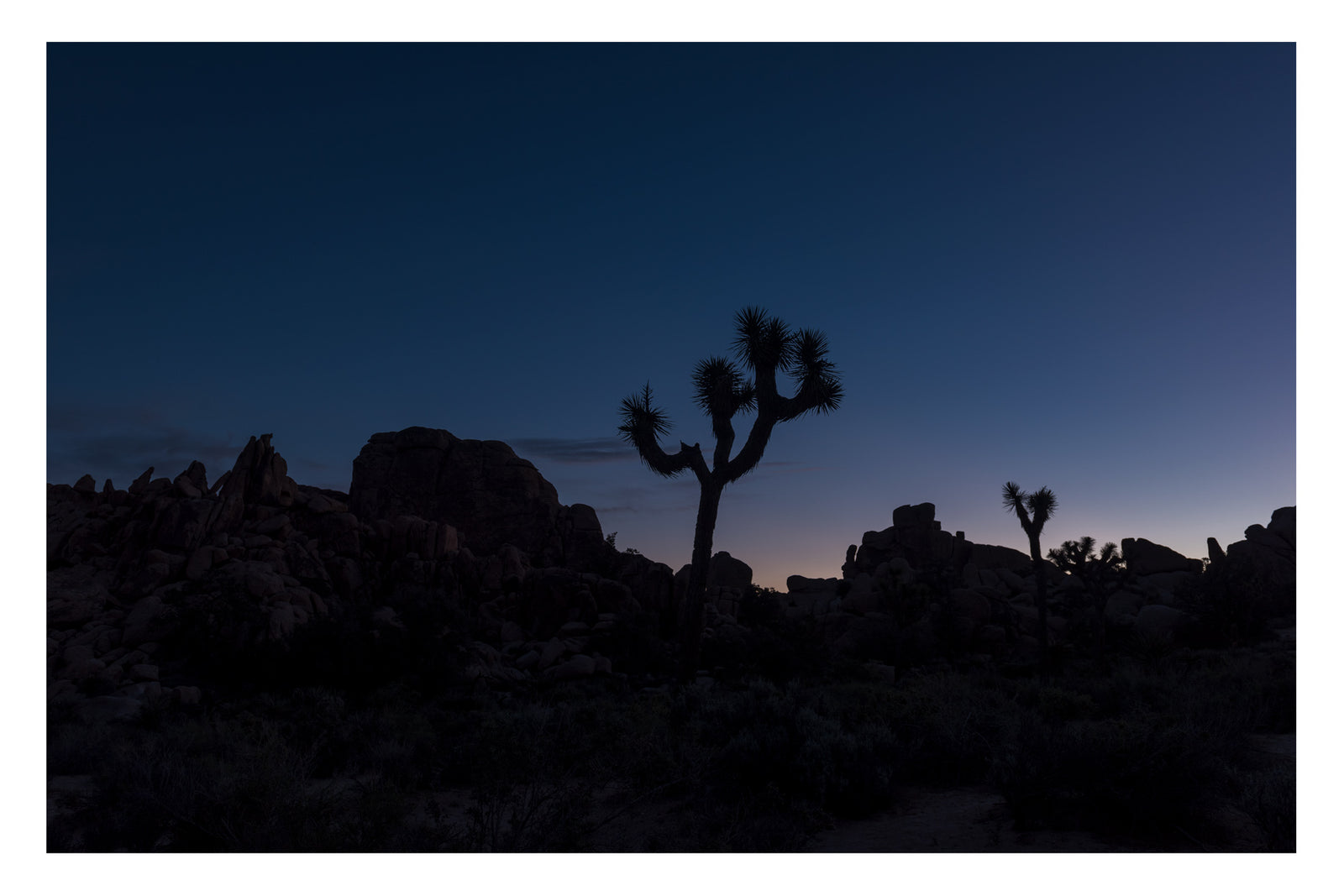 Two Joshua trees and granite boulders silhouetted against the last orange glow on the horizon at dusk in Joshua Tree National Park, the sky deepening to deep blue above. Last light details in the boulders just visible. Fine art colour photographic print by Simon Davidson.