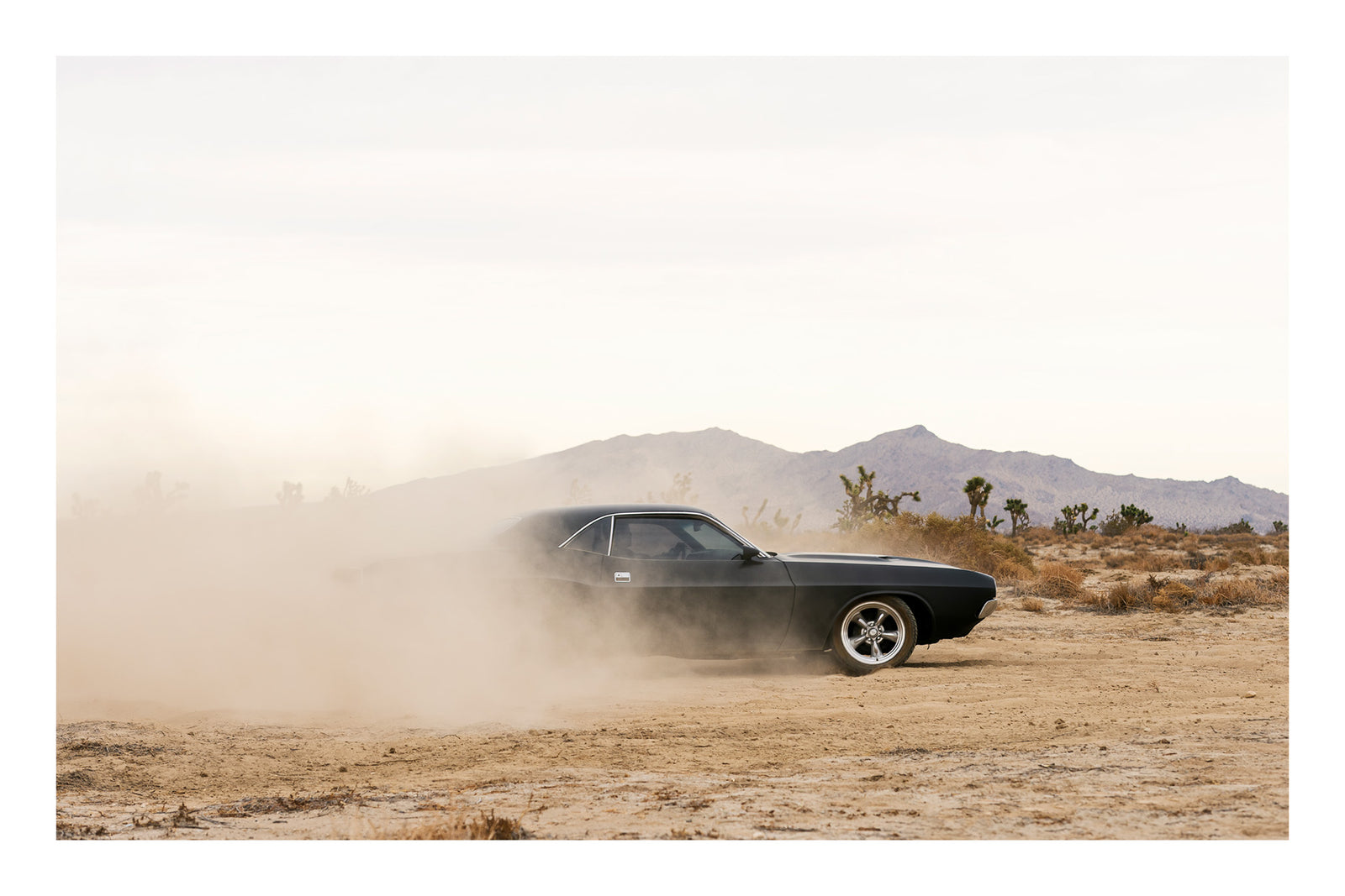 A Dodge Challenger powers through a desert dirt surface, kicking up a low trail of dust from the rear wheels. Joshua trees and purple hue mountain ranges stretch across the horizon under a pale white sky, with the car's polished five spoke wheels and fastback roofline sharp against the hazy desert landscape. Fine art colour photographic print by Simon Davidson.