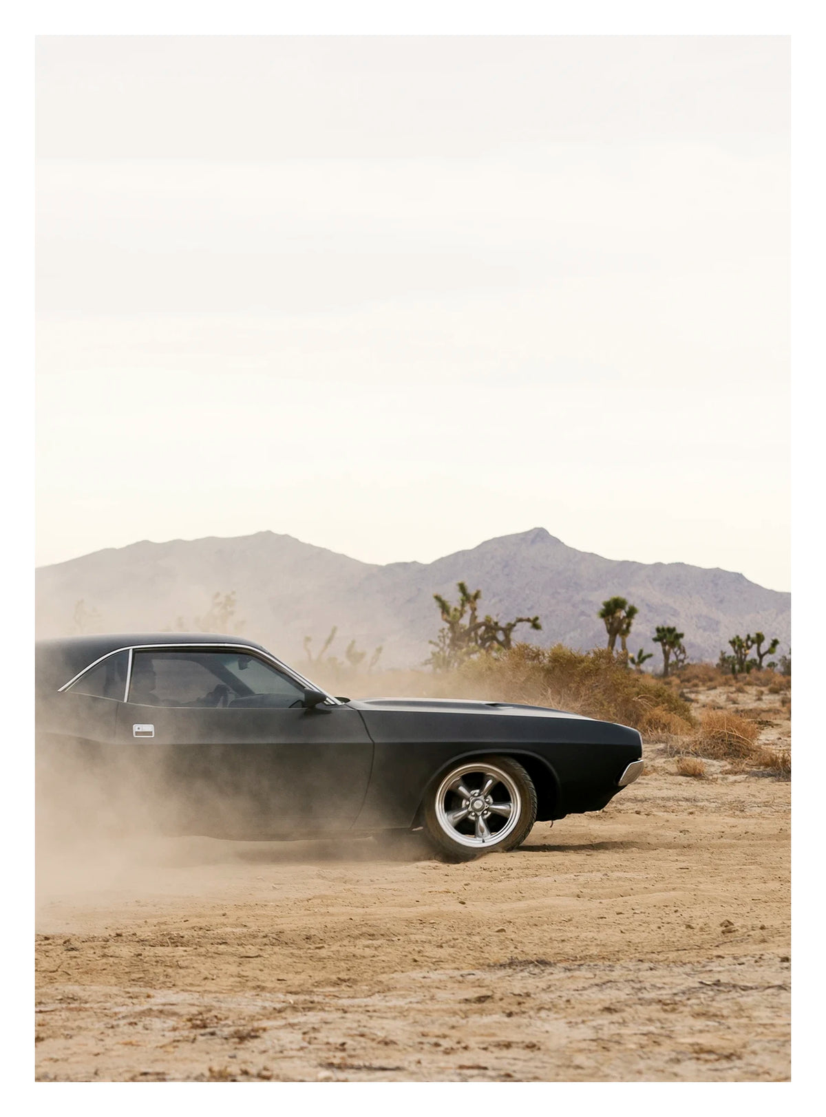In a portrait orientation. A matte black first generation Dodge Challenger powers through a desert dirt surface, kicking up a low trail of dust from the rear wheels. Joshua trees and purple hue mountain ranges stretch across the horizon under a pale white sky, with the car's polished five spoke wheels and fastback roofline sharp against the hazy desert landscape. Fine art colour photographic print by Simon Davidson.
